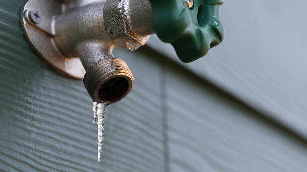 Best Drain Cleaning Services  in San Fernando, CA